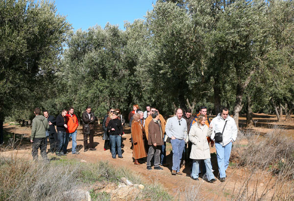 Cata de aceites cocineros