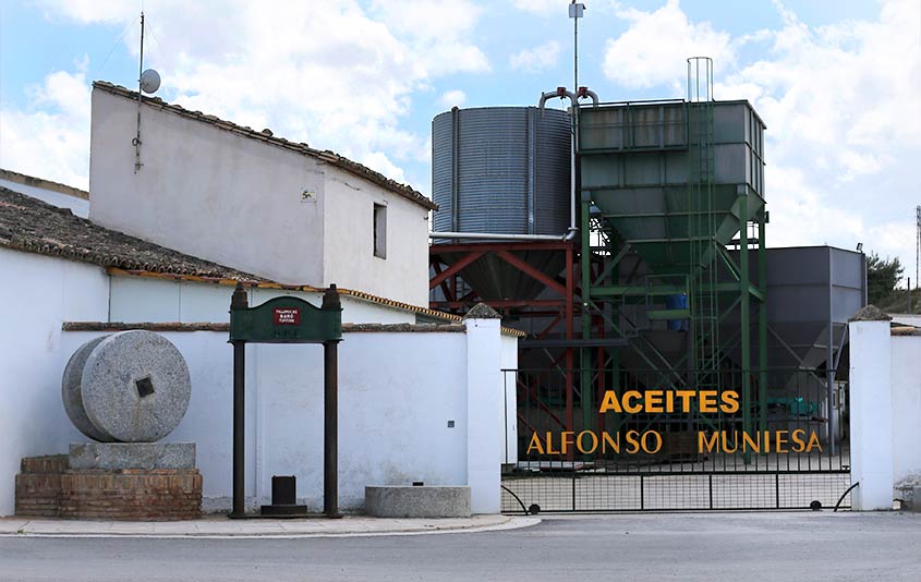 Molino Alfonso, tradición aragonesa en aceite de oliva virgen extra de calidad
